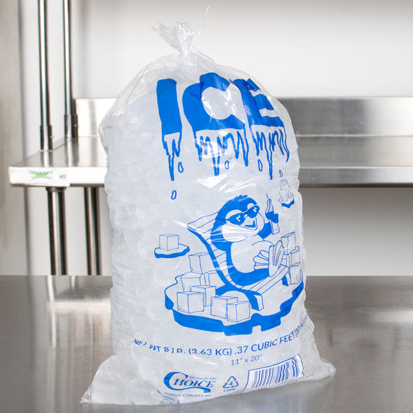 ICE for the festival