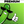 Load image into Gallery viewer, The Big Dill World's Largest Pickle Party® | Philadelphia 2026
