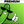 Load image into Gallery viewer, The Big Dill World's Largest Pickle Party® | Arlington 2026
